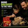 DailyScroll DinoQuest™ Fossil Dig Kit thumbnail