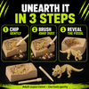 DailyScroll DinoQuest™ Fossil Dig Kit thumbnail