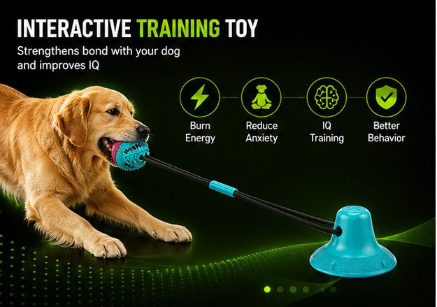 DailyScroll TugLock™ Suction Tug Dog Toy - image 3