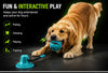 DailyScroll TugLock™ Suction Tug Dog Toy thumbnail