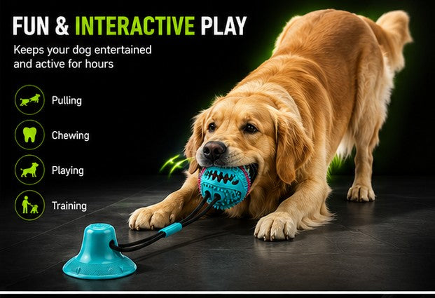 DailyScroll TugLock™ Suction Tug Dog Toy - image 2