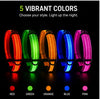 DailyScroll GlowGuard™ LED Safety Dog Collar thumbnail