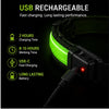 DailyScroll GlowGuard™ LED Safety Dog Collar thumbnail