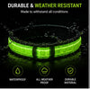 DailyScroll GlowGuard™ LED Safety Dog Collar thumbnail