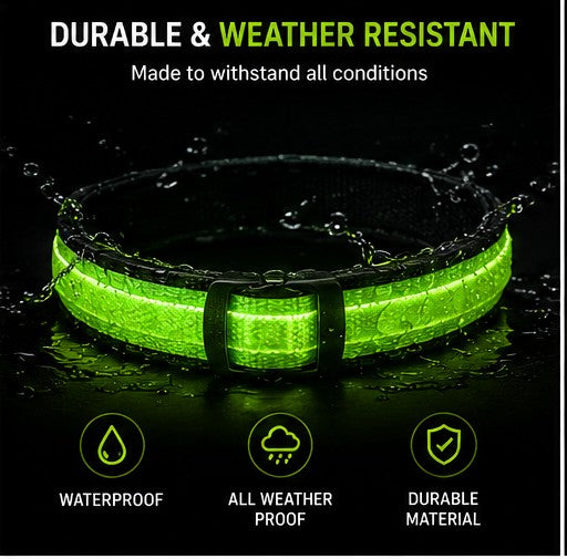 DailyScroll GlowGuard™ LED Safety Dog Collar