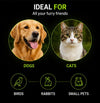PawDose Easy Pet Medicine Feeder thumbnail