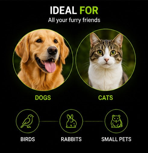 PawDose Easy Pet Medicine Feeder - image 2